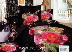 cs5249-4 (ٸ������ ����� ���������)