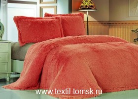 pkm729-10 (ٸ������ ����� ���������)