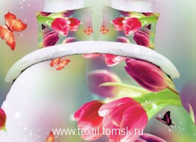 DF04-11 (ٸ������ ����� ���������)