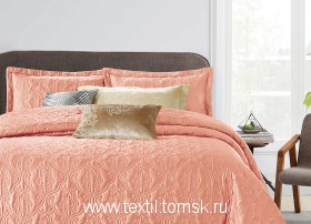 QV24265 (ٸ������ ����� ���������)