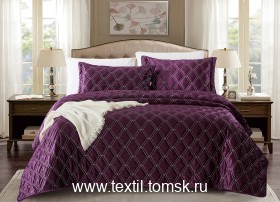 BAC242608 (ٸ������ ����� ���������)