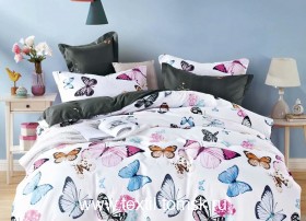 DF01360 (ٸ������ ����� ���������)