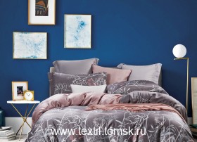 TT4100 (ٸ������ ����� ���������)