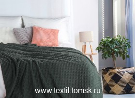 PLD301001 (ٸ������ ����� ���������)