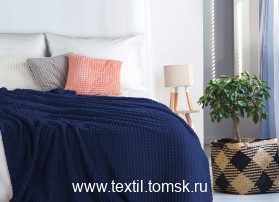 PLD301006 (ٸ������ ����� ���������)