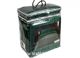 SAV242607 (ٸ������ ����� ���������)