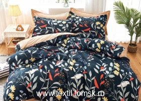 DF03438 (Щёлкните чтобы увеличить)