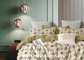 TPIG2166250 (ٸ������ ����� ���������)