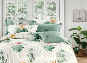 AM0154 (ٸ������ ����� ���������)