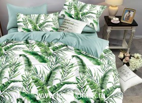 DF0535850 (ٸ������ ����� ���������)