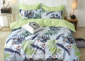 DF0544770 (ٸ������ ����� ���������)