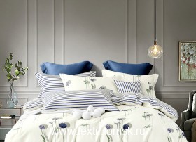 TPIG51037 (ٸ������ ����� ���������)