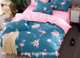 TPIG61762 (ٸ������ ����� ���������)