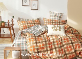 TS04X168 (ٸ������ ����� ���������)