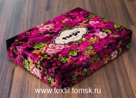 TS04X168 (ٸ������ ����� ���������)