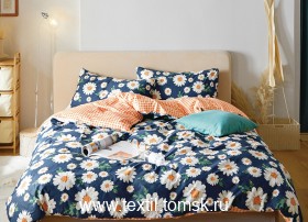 TS04X178 (ٸ������ ����� ���������)