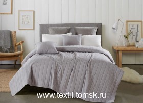 NTR222403 (ٸ������ ����� ���������)