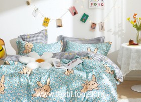 TPIG41483 (ٸ������ ����� ���������)