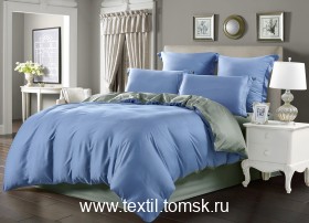 JIU0621 (ٸ������ ����� ���������)