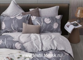 TT6138 (ٸ������ ����� ���������)