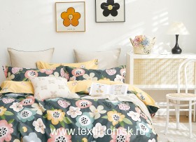 TPIG31740 (ٸ������ ����� ���������)