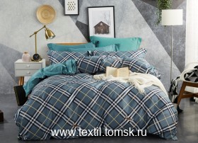 TIS04871 (ٸ������ ����� ���������)