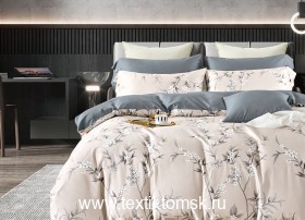 TIS04876 (ٸ������ ����� ���������)