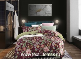 TIS05873 (ٸ������ ����� ���������)