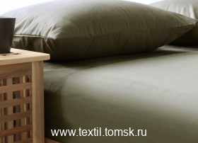 x BS242614 (ٸ������ ����� ���������)