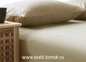 BS242673 (ٸ������ ����� ���������)