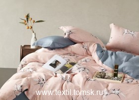 TT4133 (ٸ������ ����� ���������)